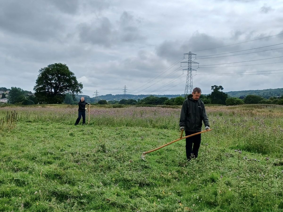 Heritage skills workshop - late summer scything at Bathampton Meadows