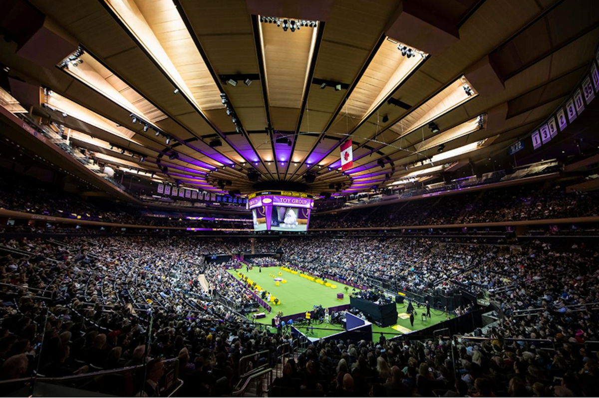 Westminster Kennel Club Dog Show - New York (2 Day Pass)