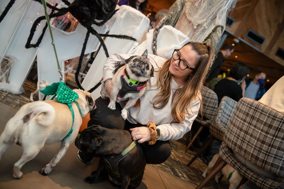 PUG CAFE\u2122 HALLOWEEN - TAUNTON