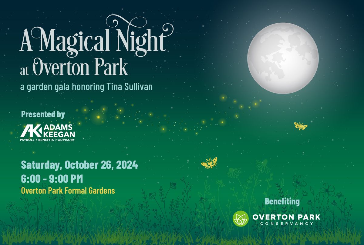 A Magical Night at Overton Park