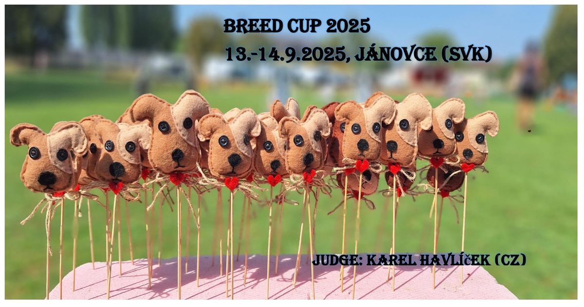 Breed cup 2025