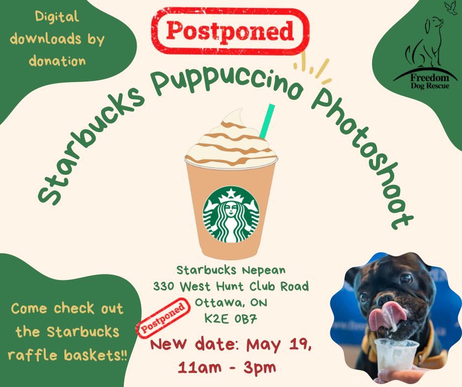 Starbucks Puppuccino Photoshoot