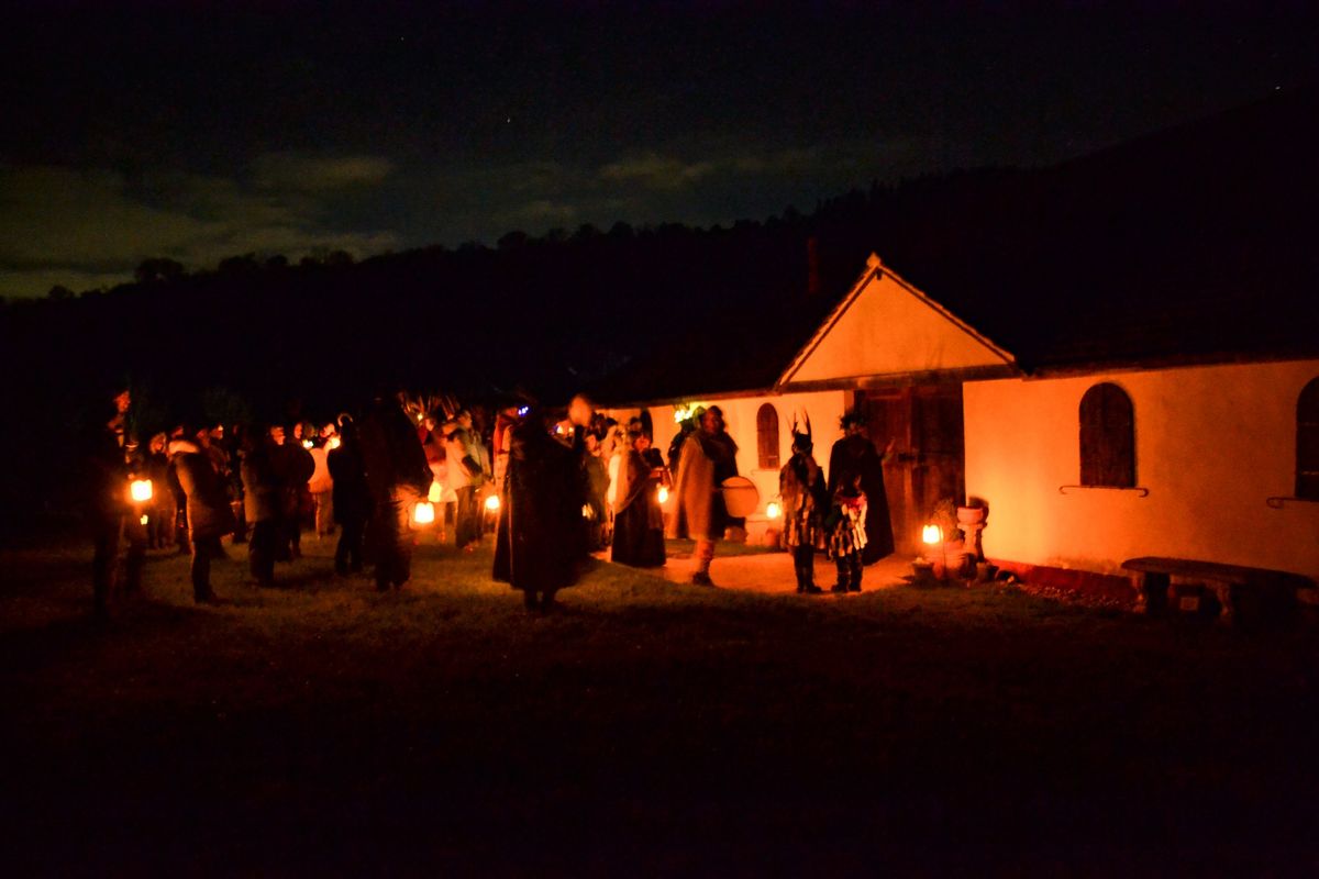 Wassailing the Orchard 2025