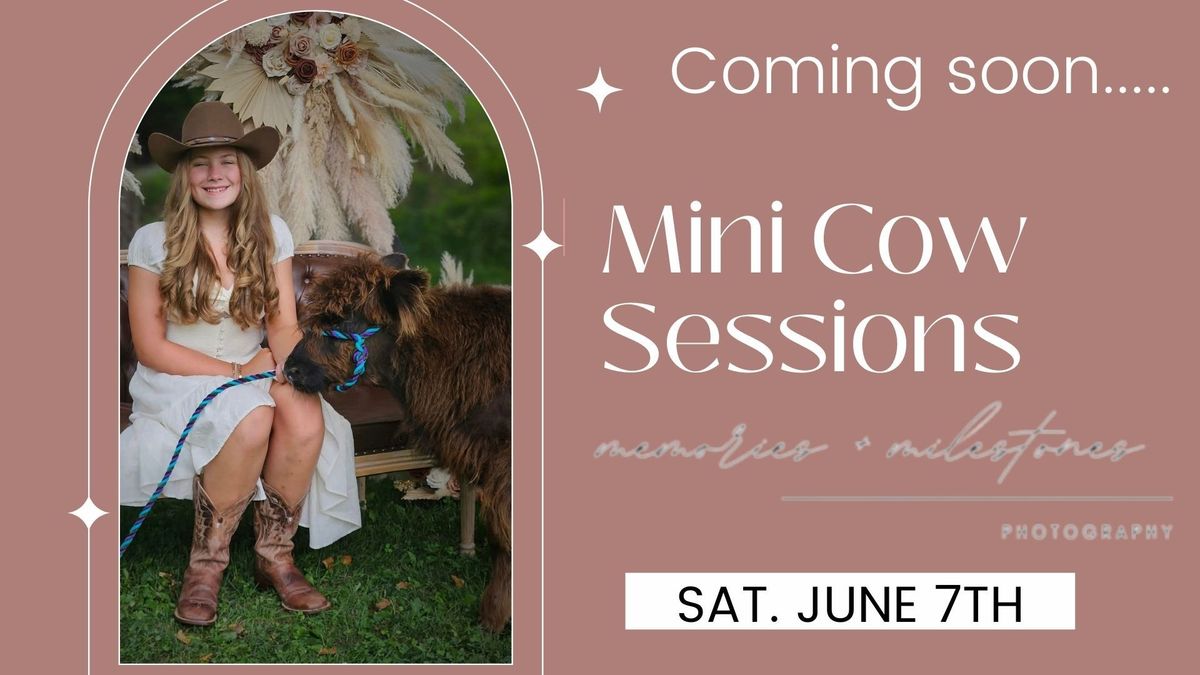 Mini Cow Session - SELF SERVE PHOTOS 