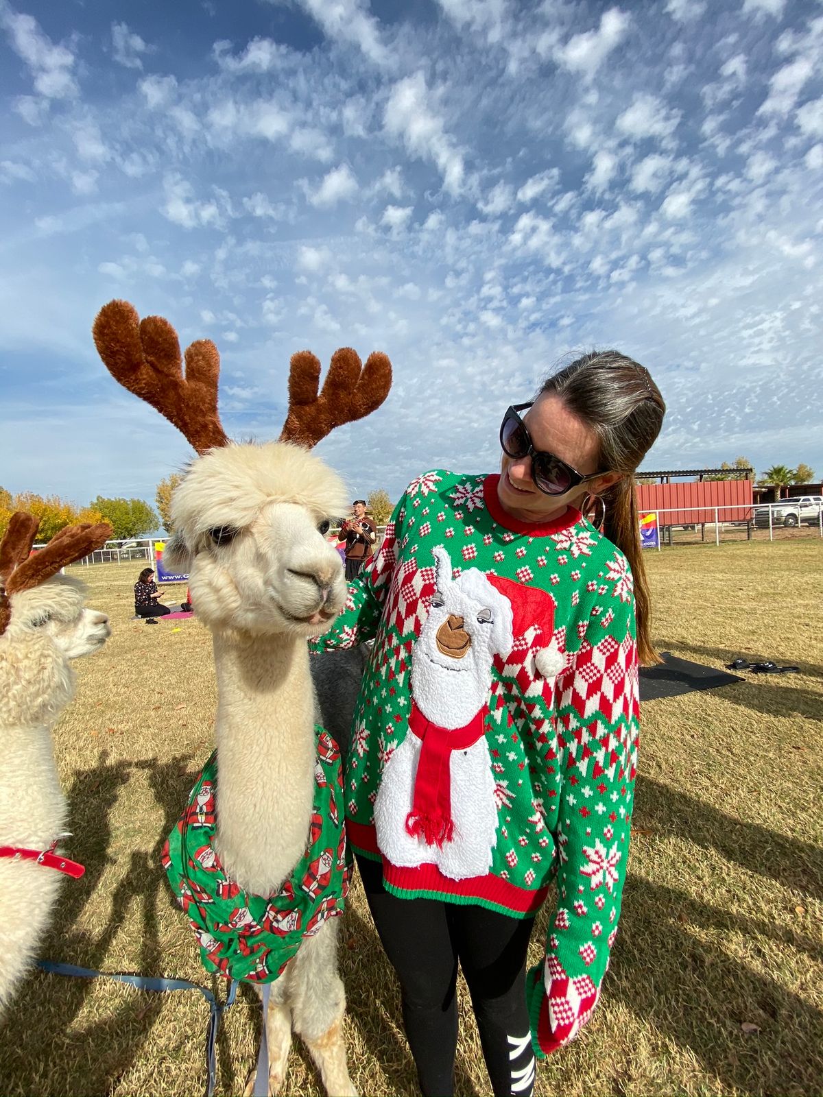 Ugly Christmas Sweater Goat and Alpaca Yoga- 10am 11\/30