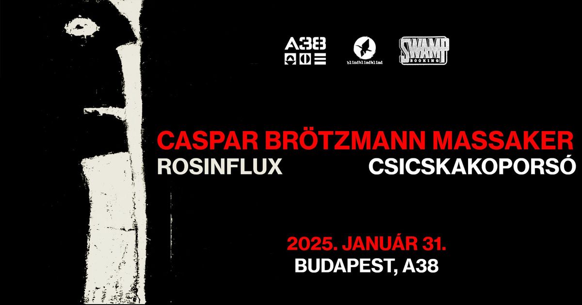 Caspar Br\u00f6tzmann Massaker (DE), guests: Rosinflux, csicskakopors\u00f3 \/\/ A38 Haj\u00f3