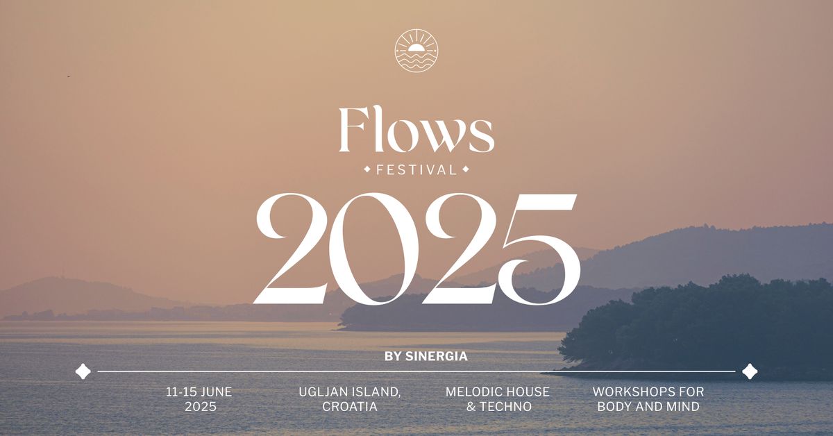 Flows Festival 2025 by Sinergia