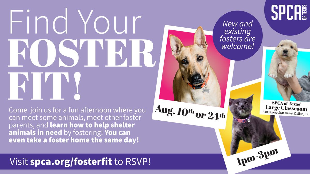 Find Your Foster Fit