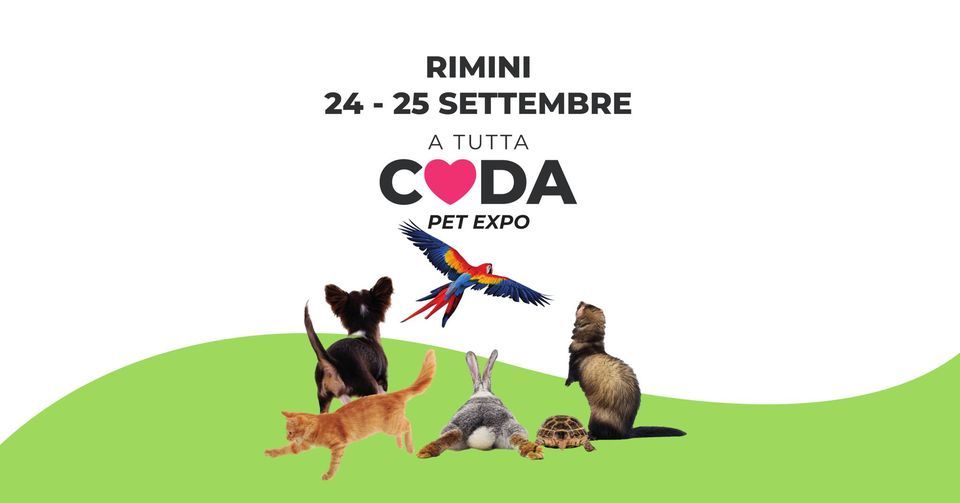 A Tutta Coda Pet Expo - Rimini 2022, Piazza Sull’acqua Ponte di Tiberio ...