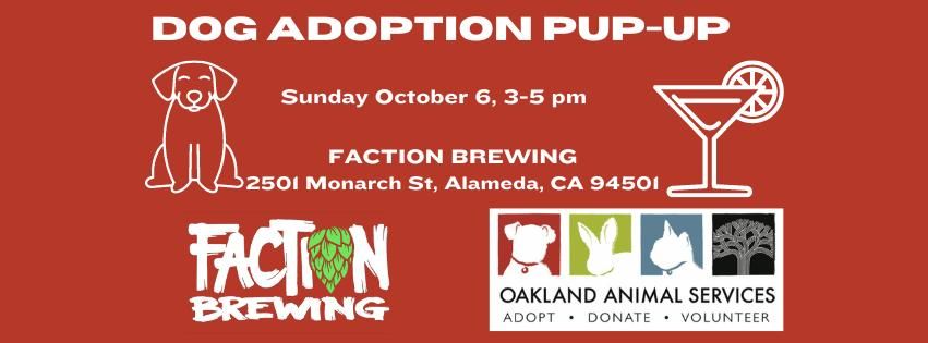 Dog Adoption Pup-Up at Faction Brewing