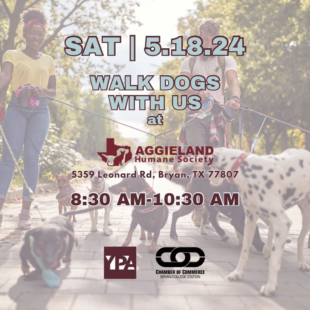 Walk Dogs with Aggieland Humane Society