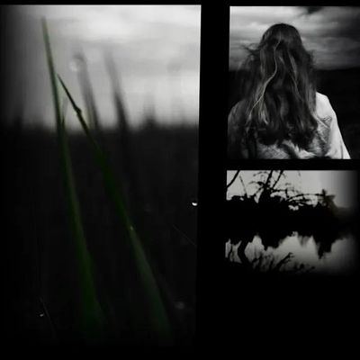 The Barefoot Experience