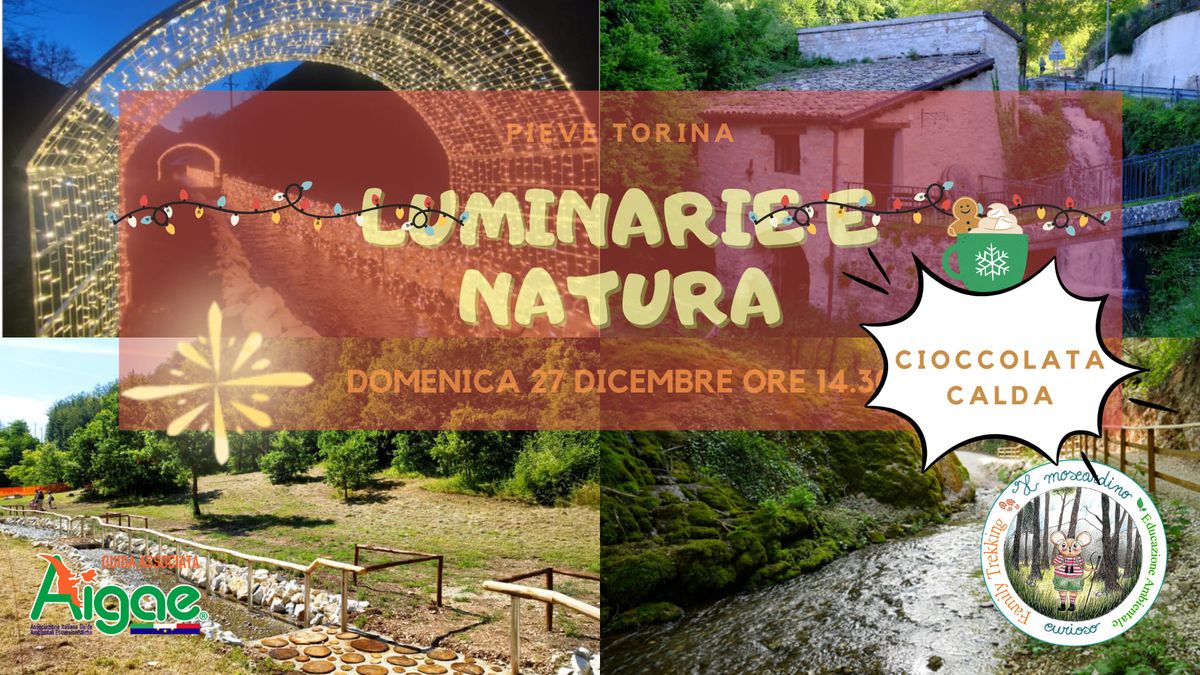 Luminarie e natura