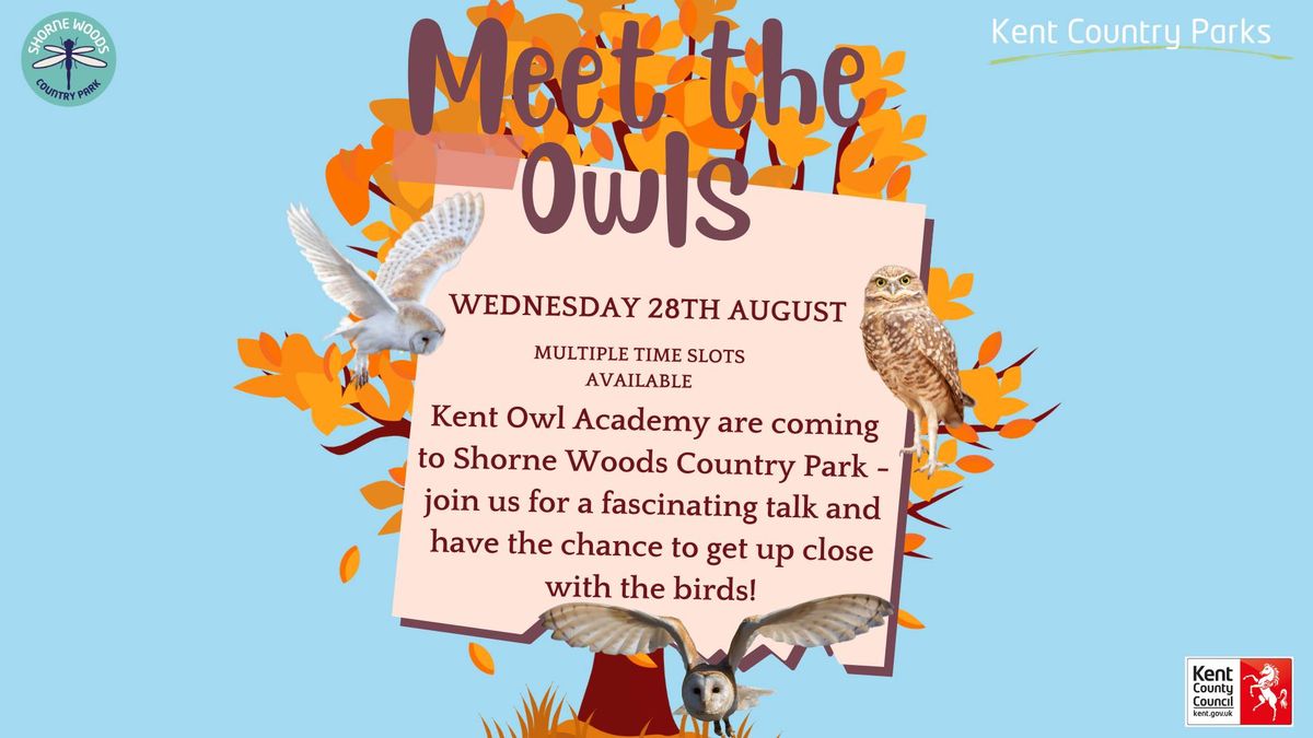Kent Owl Academy 