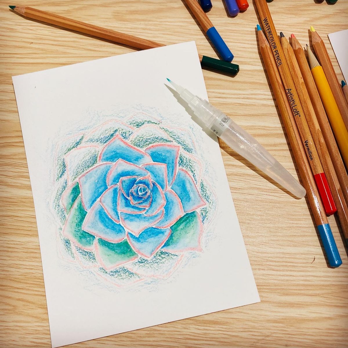 Watercolor Pencil Workshop: Succulents
