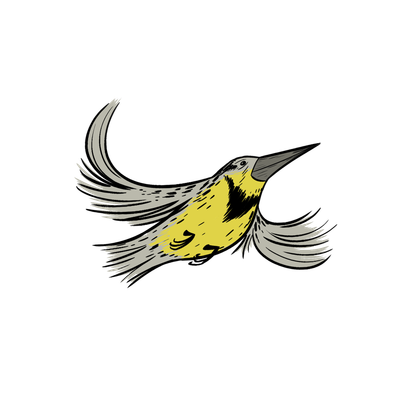 Meadowlark Park Community Association