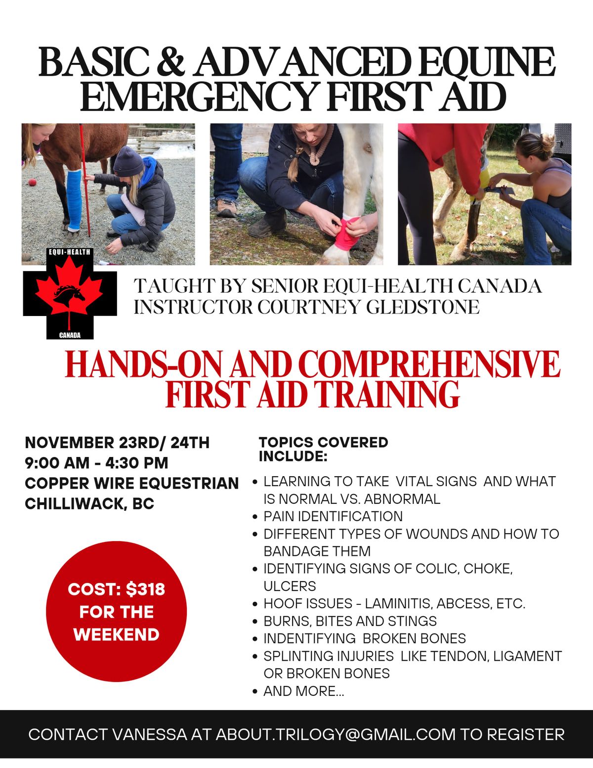 Basic and Advanced Equine Emergency First Aid (Level 1 & 2) 