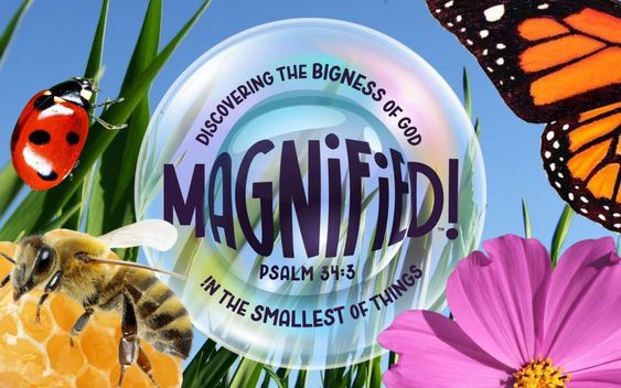 VBS 2025 - Magnified!    SAVE THE DATE!