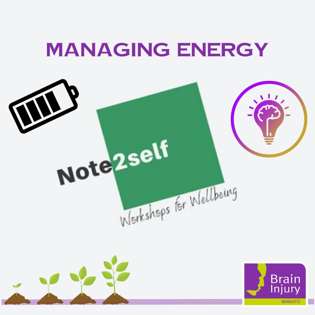 Managing Energy Workshop - Hamilton 