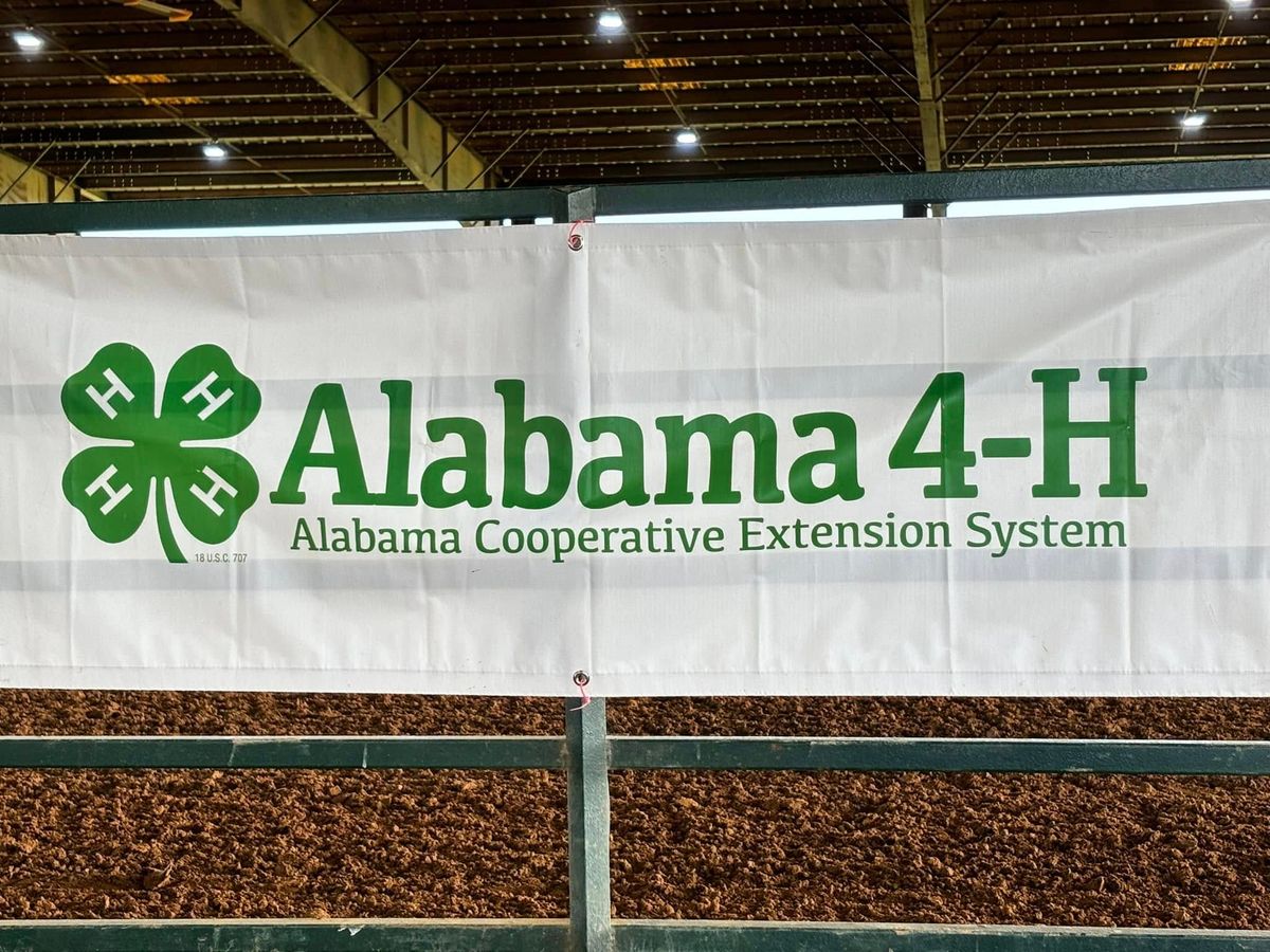 4-H State Show