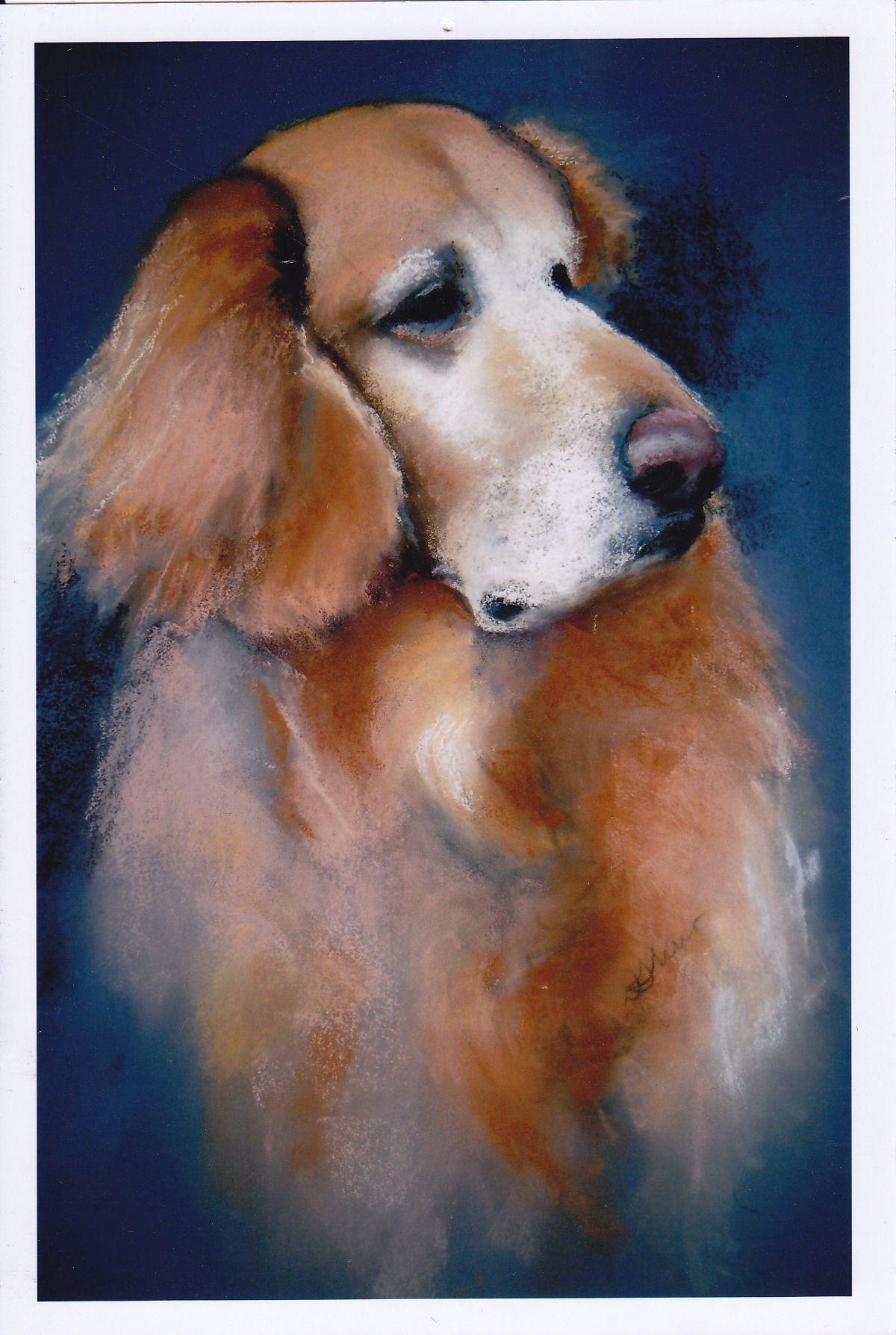 Pet Portraits in Pastels  with Diane Shur!