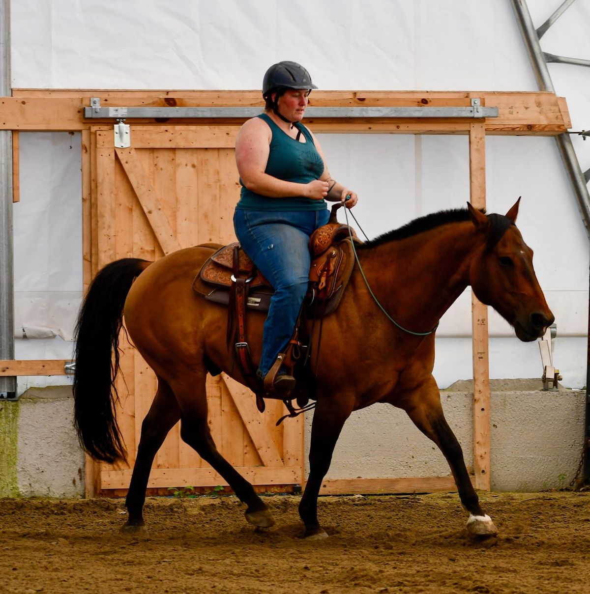 Groundwork\/Horsemanship Clinic