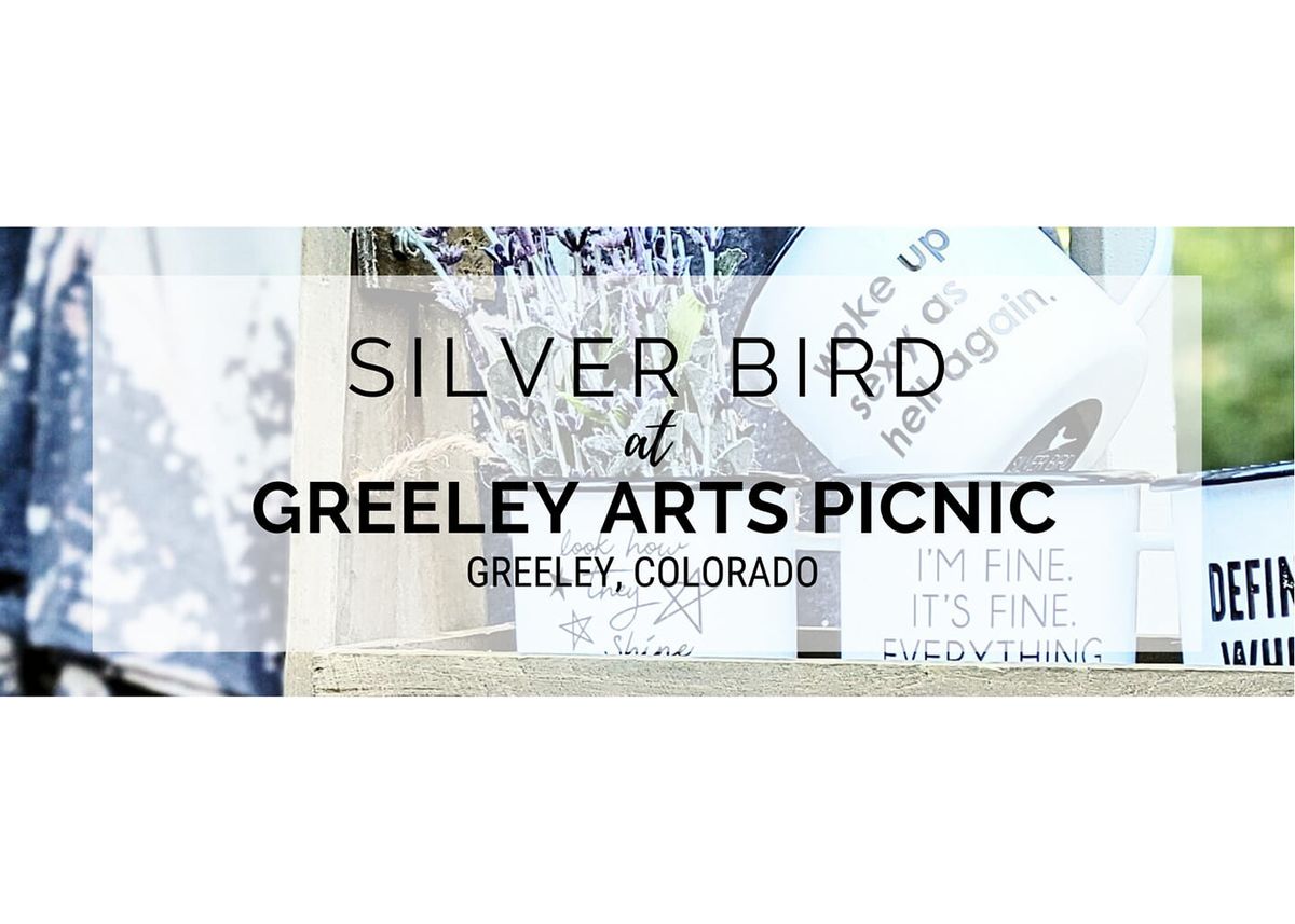Silver Bird at the Greeley Arts Picnic