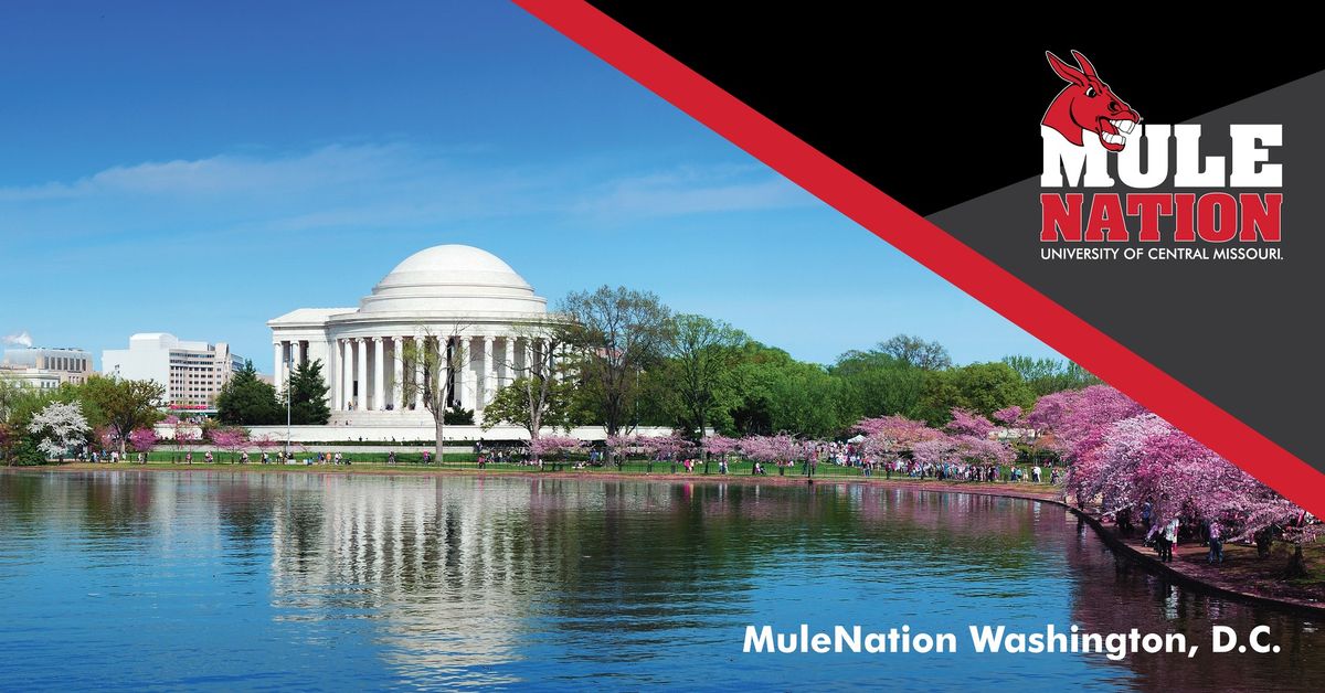 MuleNation in Washington, D.C. 