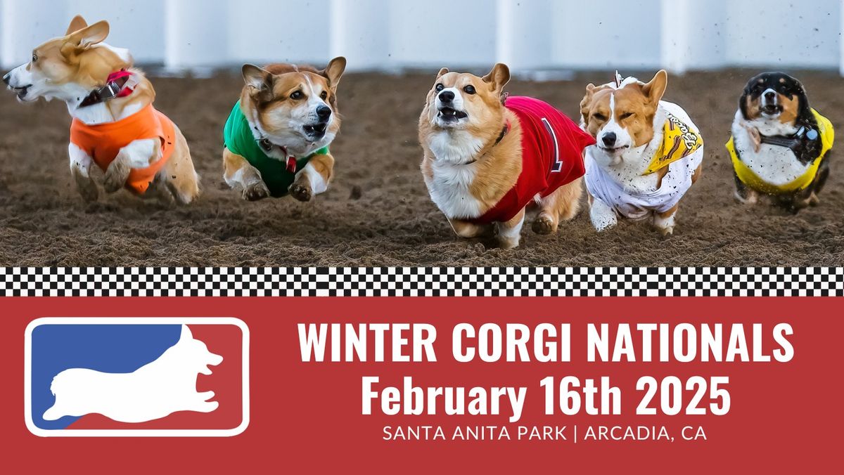 2025 Winter Corgi Nationals- Corgi Racing at Santa Anita Park!