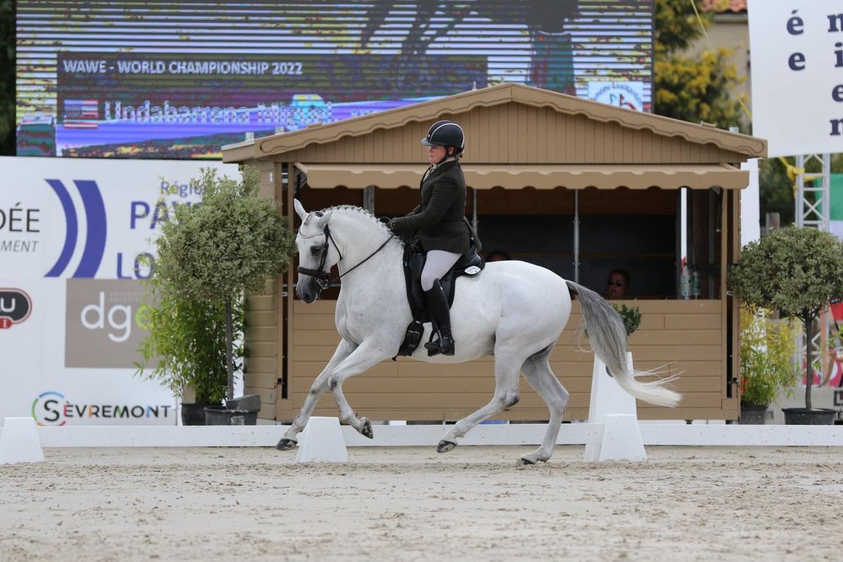 Working Equitation Training Competition 