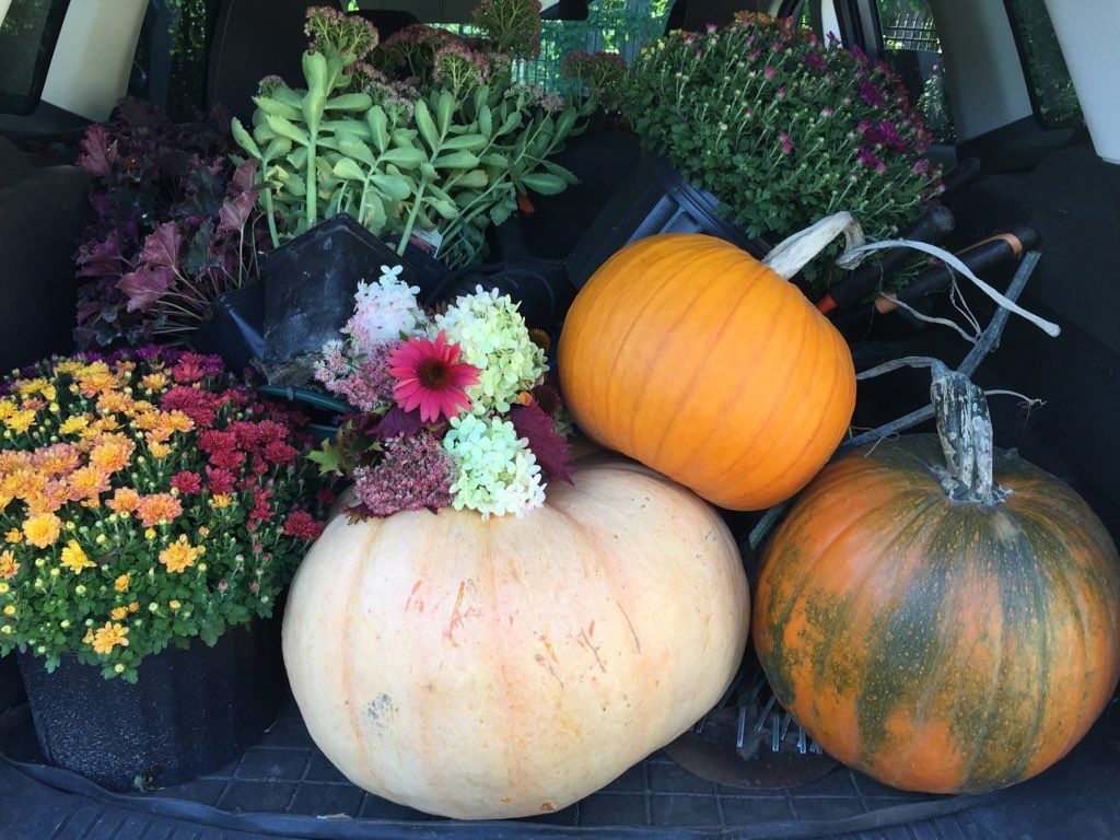 Decorate with Fall Floral and Garden Arrangements