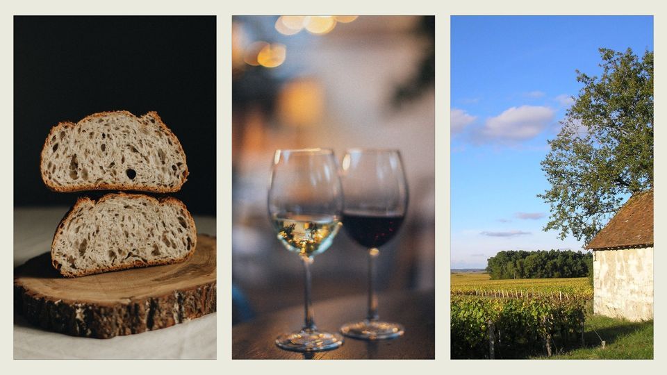 After-work | Wine from Touraine, fingerfood and sourdough bread