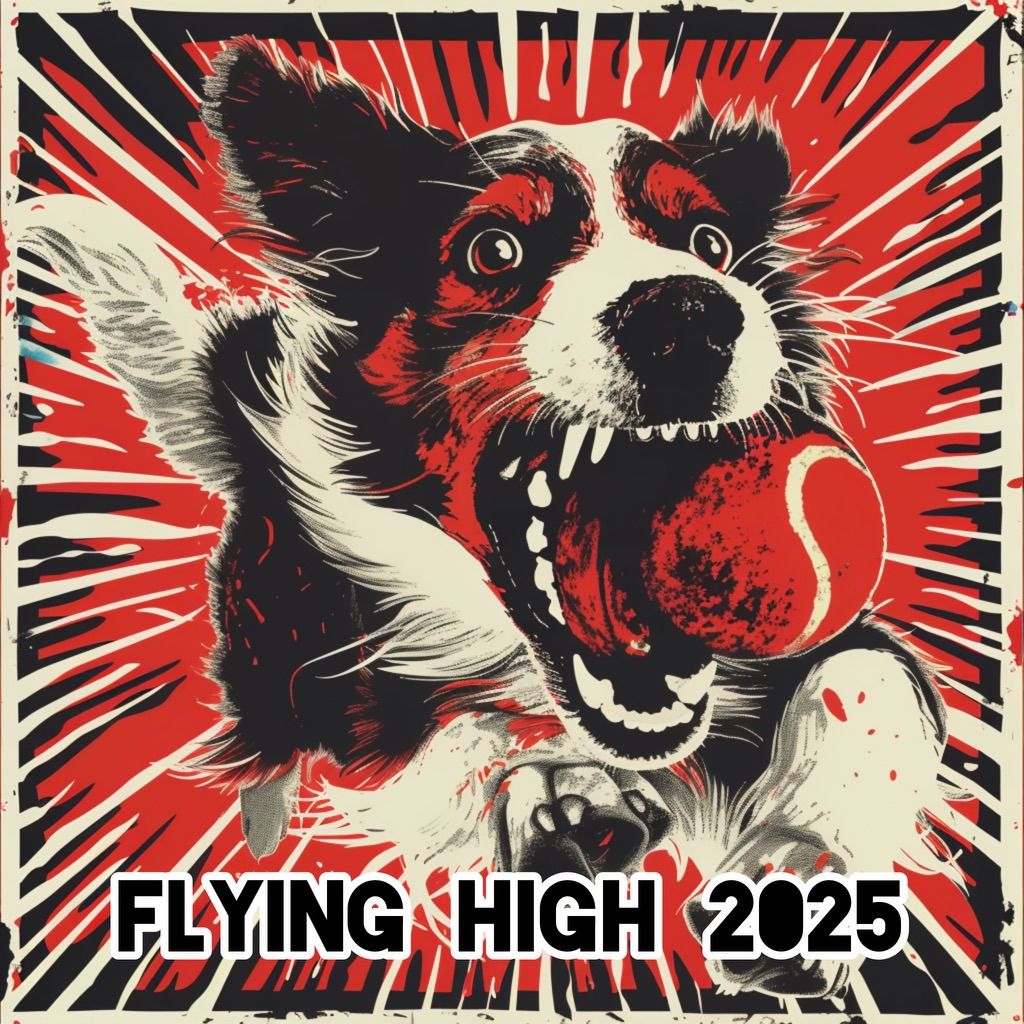 Flying High 2025