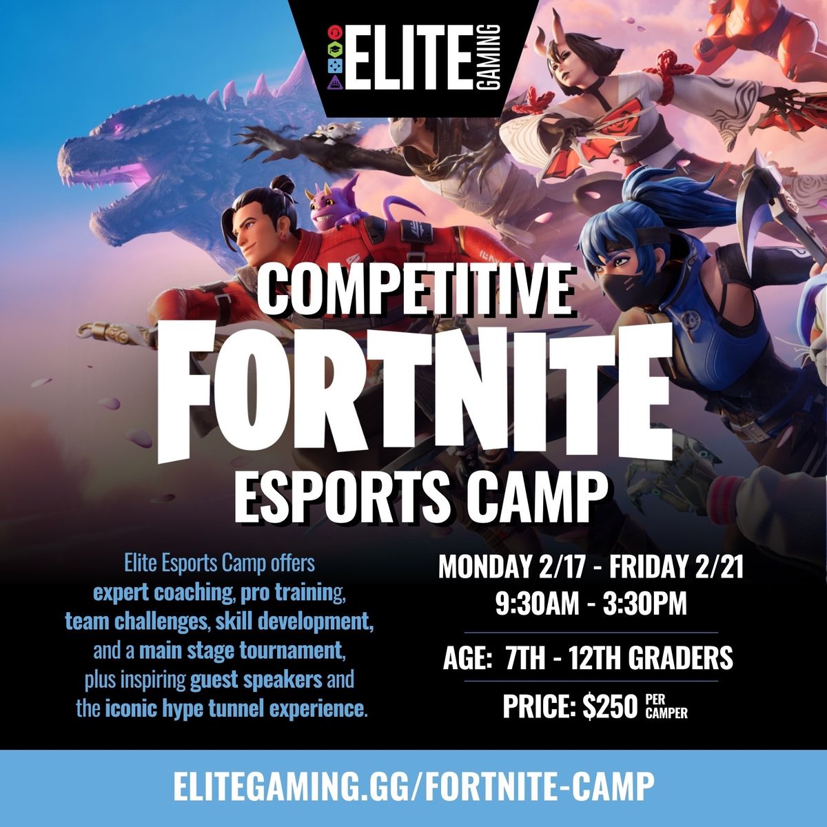 Fortnite Competitive Esports Camp