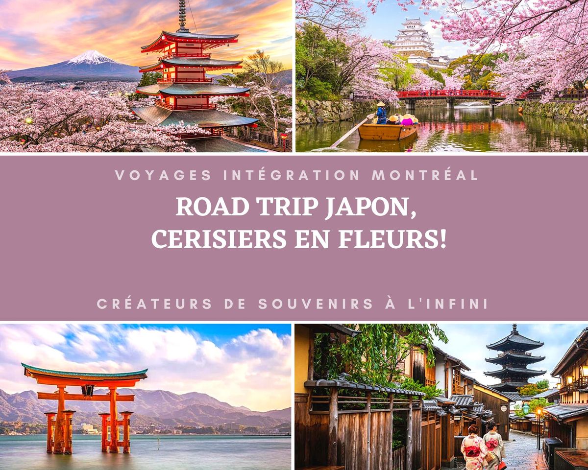 Road Trip Japon, cerisiers en fleurs! 