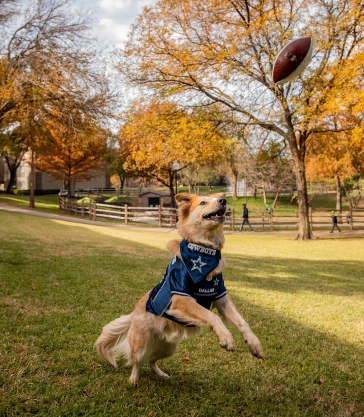 Paws + Passes Pup Meetup 