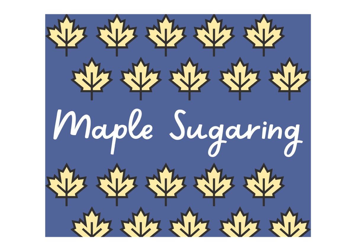 Maple Sugaring Class