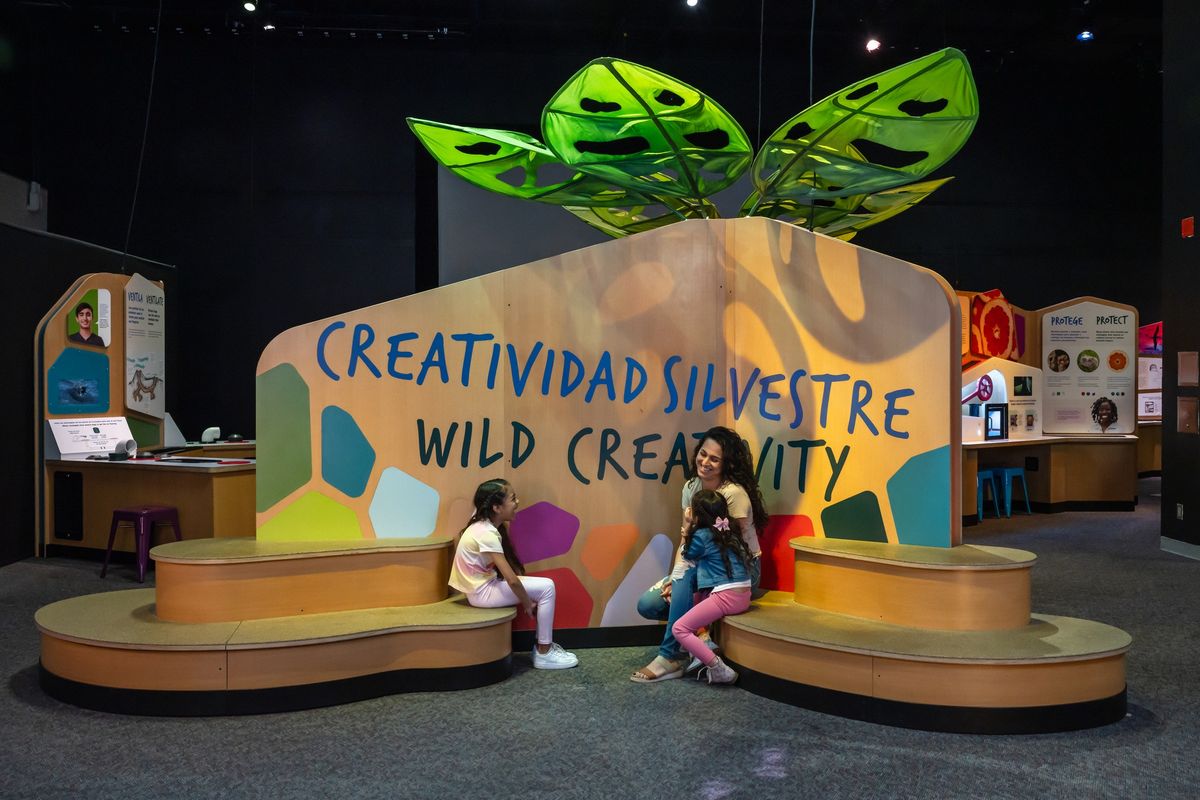 Creatividad silvestre | Wild Creativity: Members-Only Preview