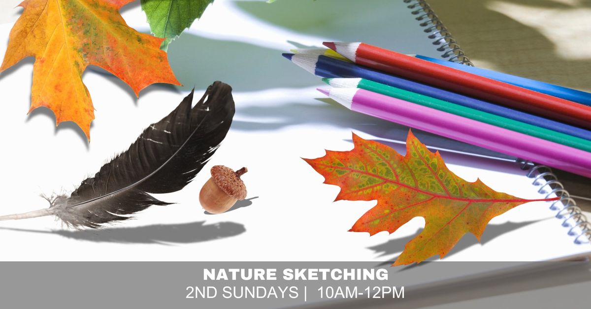 Nature Sketching