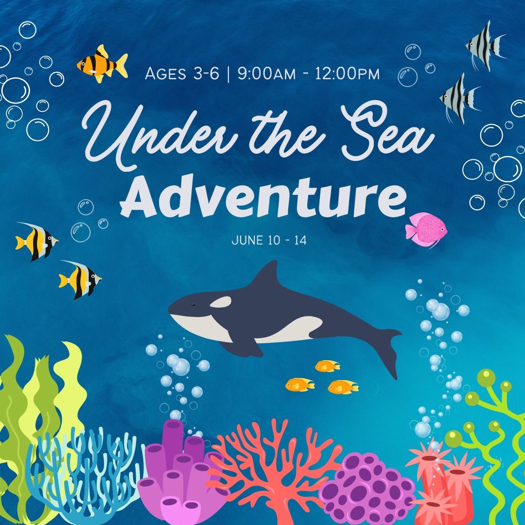 Under The Sea Camp - AGE 3-6