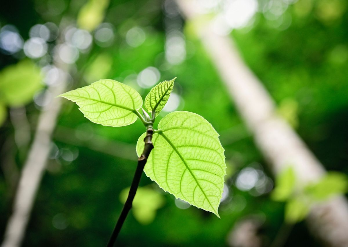 Climate Literacy Training Course