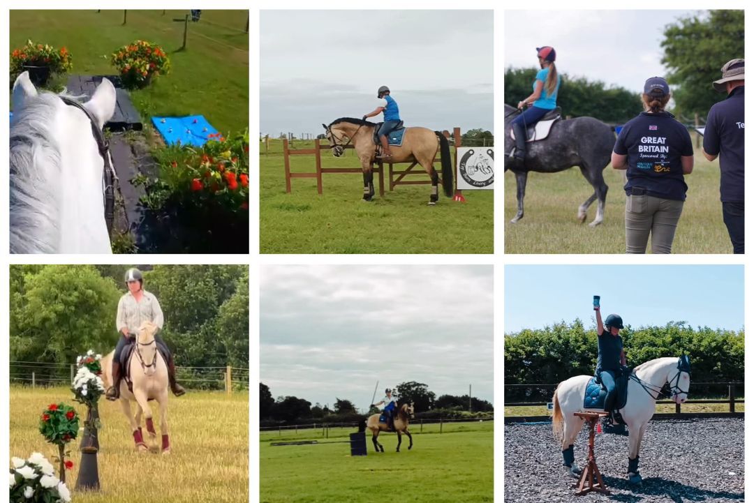 Working Equitation Training Competition 