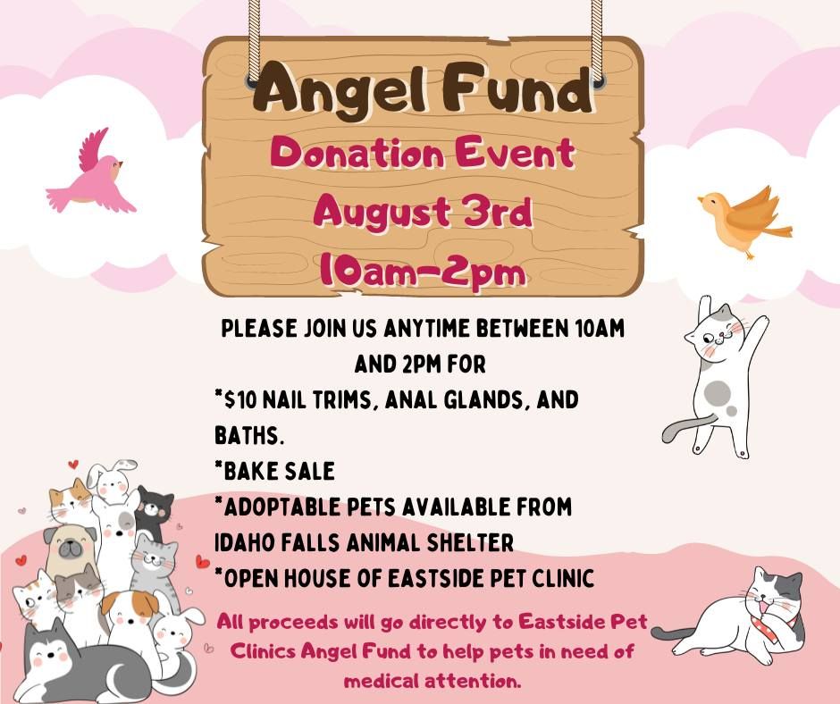 Angel Fund Donation Event