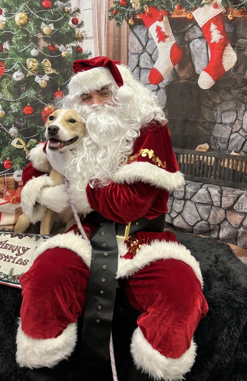 Selfies with Santa