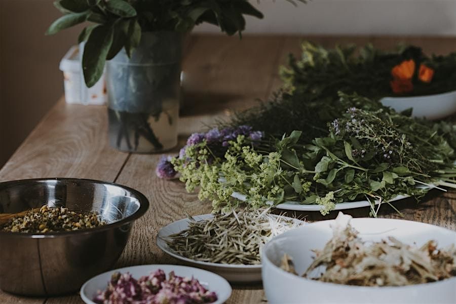 Ground and Gather- A Night of Connection, Learning, and Conversation.