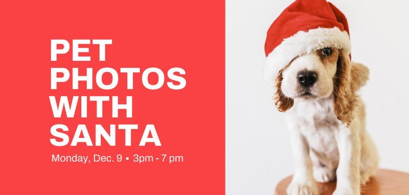 Pet Photos with Santa