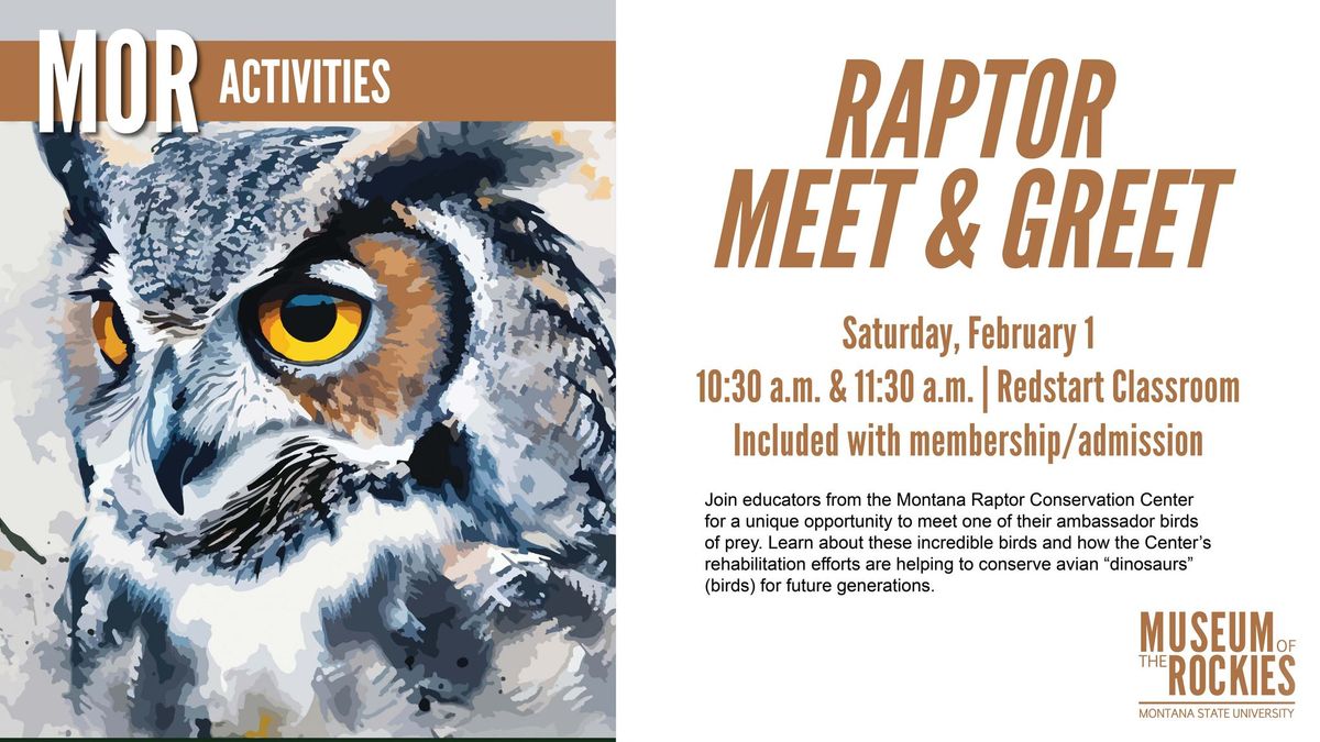 Raptor Meet & Greet