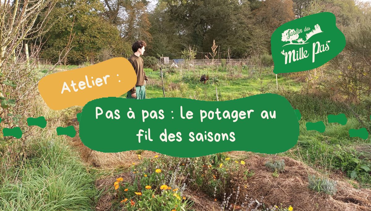 Pas \u00e0 pas : le potager au fil des saisons