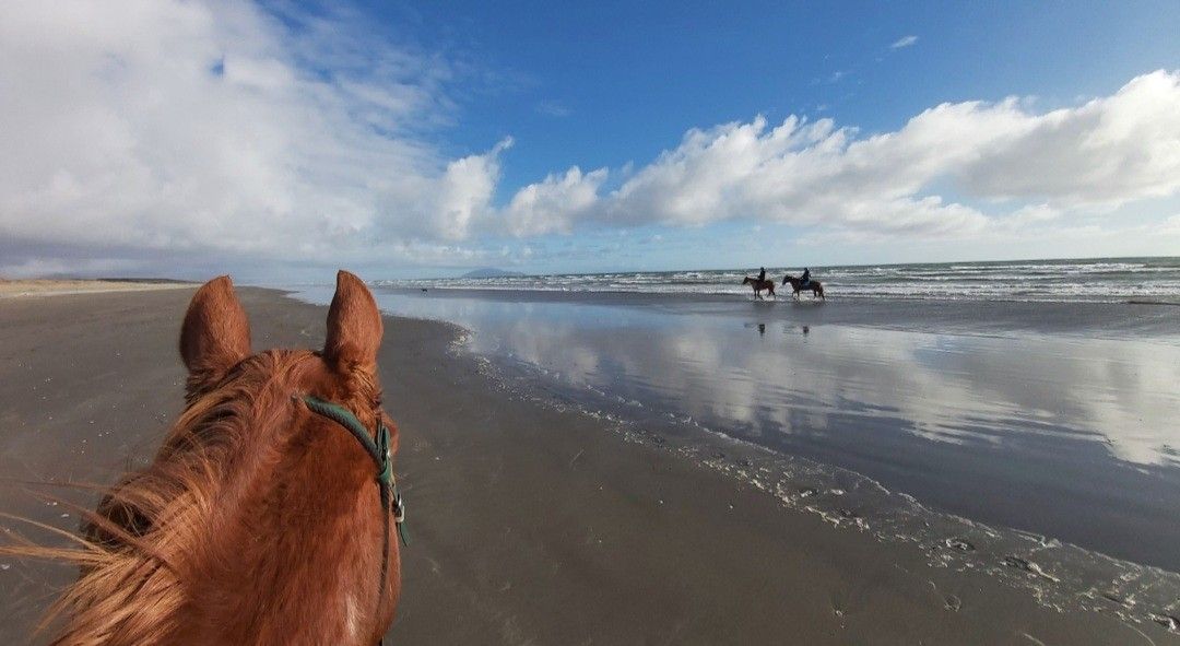 Waikawa Beach