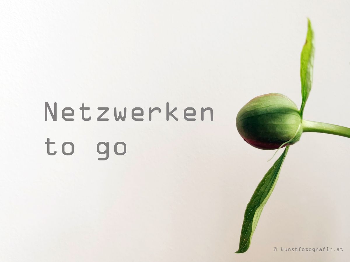 Netzwerkentogo